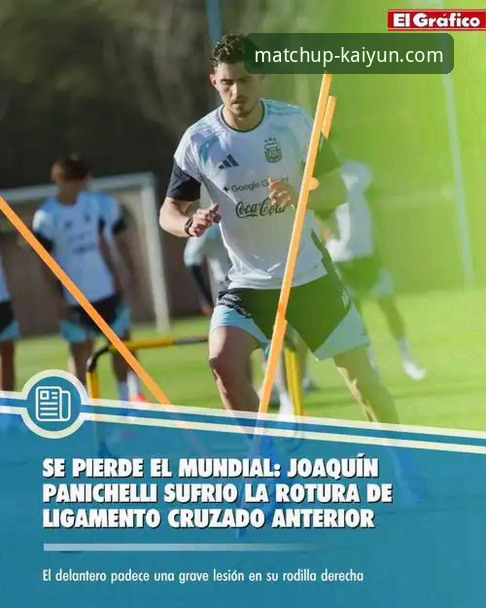 开云平台登录 卫冕冠军锋线折戟:帕尼切利重伤事件与球迷观赛生态深度评测